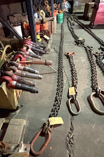 BRANCHES 25' BRIDLED PICKIGN CHAINS, 2 PART, GRADE 80,