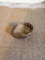 CYNTHIA GALE BRACELET WITH TAG