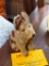 STEIFF(?) STUFFED ANIMAL DOG, APPROX 6