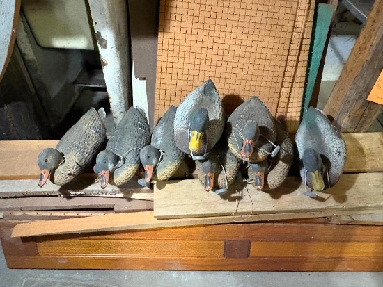 LOT OF DUCK DECOYS, CARRY-LITE, MALLARDS (8)