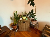 GARDEN LOT TO INCLUDE; (2) PLANT STANDS-METAL, WOVEN HAMPER, YELLOW PLANTER AND (3) PLANTS
