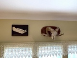 TAXIDERMY- WILD BOAR SKULL AND RAM SKULL