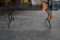 CAFETERIA STYLE FOLDING TABLE, WOOD VENEER TOP, 72