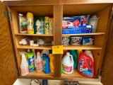 CABINET CONTAINING DEODORIZER, BLEACH, STEEL CLEANER, DETERGENT ETC