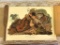 RUFFLED GROUSE PRINT BY JOHN J AUDUBON, NO 9/ PLATE XLL, 14.5
