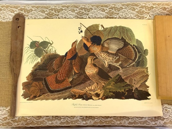 RUFFLED GROUSE PRINT BY JOHN J AUDUBON, NO 9/ PLATE XLL, 14.5" X 19.5"