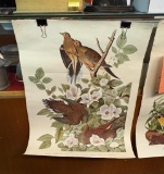 JOHN J. AUDUBON CAROLINA TURTLE DOVE PRINT, NO. 4/ PLATE XVIII, 24