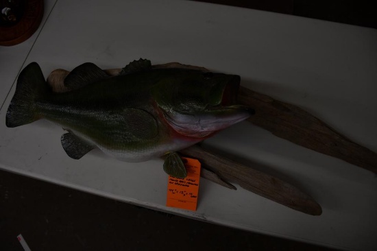 URETHANE LARGE MOUTH BASS MOUNTED ON DRIFTWOOD, 44"W X 12"H X 10 DEEP