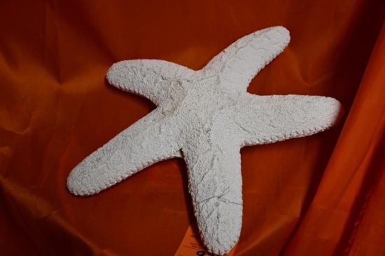URETHANE STARFISH, WHITE, 16" X 19"