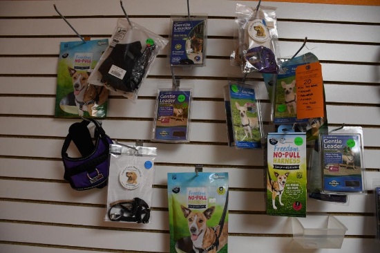 MISC. DOG GEAR; LEASHES, HALTERS, HARNESSES, MISC. SIZES