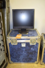 Viewsonic 17" monitor with case