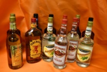 (12) ASSORTED BOTTLES OF ALCOHOL; VODKA, SCHNAPPS, JAQUIRIS & ASSORTED LIQUEURS
