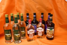 (12) ASSORTED BOTTLES OF ALCOHOL; GIN, SLOE GIN & ASSORTED LIQUEURS