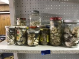 Jars of shells