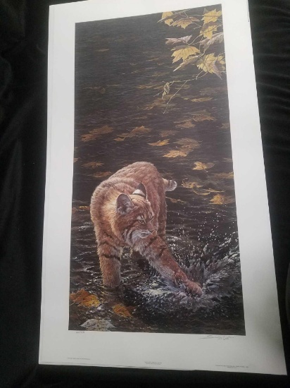 "Water Sport Bobcat" By: Seerey Lester 664/950