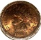1902 Indian Head Cent UNC