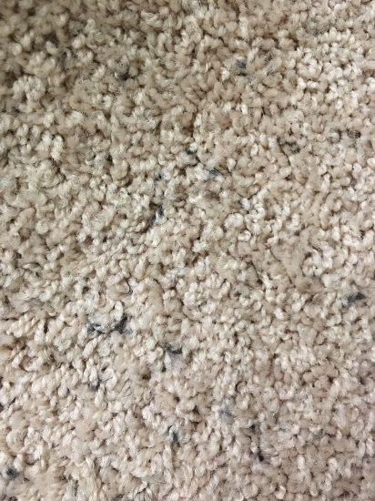 Carpet 9? 6? x 12 ft