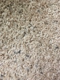 Carpet 9? 6? x 12 ft