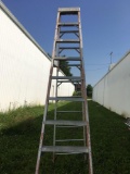 Ladder 10 steps