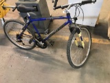 DeNali Pacific 21 speed bike