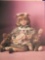 The Boyds Collection Doll , The Yesterday?s Child Doll Collection #4928 