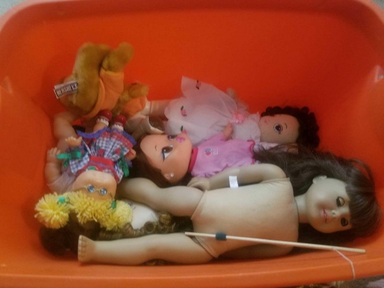 Tote filled with baby dolls