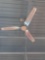 Ceiling fans