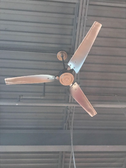 Ceiling fans