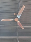 Ceiling fans