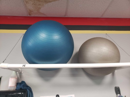 Exercise ball