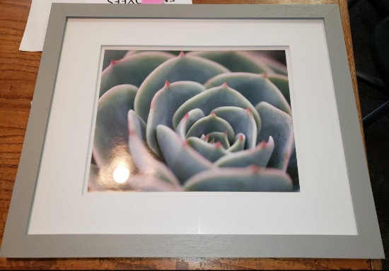 Rose print framed picture