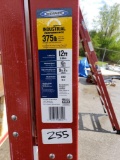 Werner 12ft Industrial Ladder
