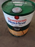 Thompson's water seal Signature Series clear Wood Protector-sealer
