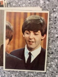 Beetles Collector Cards