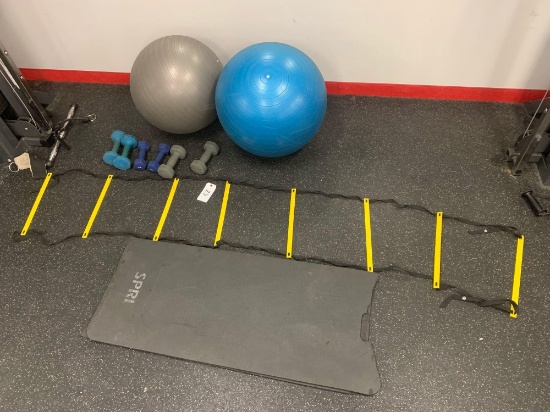 Balance balls, small rubber covered hand weight, agility ladder and mats