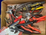 Pliers/Wire Cutters