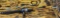 Zebco 8883 bearing catfish fishing pole and reel