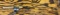 SYNERGYT16U fishing rod and reel