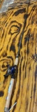 Bass Pro shops extreme tournament big caster brand new fishing rod and reel