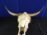 Cow horns mount