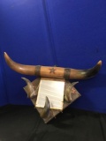 Bull Horns Mount