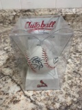 Auto Ball St Louis Cards Signed Baseball