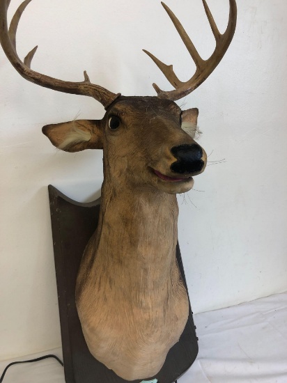 Working singing Buck