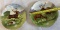 2X- Collectible plates