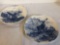 2X- collectible plates
