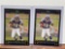 2x-Adrian Peterson Rookie cards