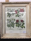 Frame Rose Botanical Print 16?x14?