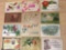 Lot of 12 Early 1900s Post cards including leather card