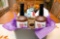Hair of the Dawg Bloody Mary Mix Set 1 Enjoy Iowa-crafted bloody Marys with two bottles of hair of