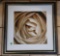 #55 Striking, warm colored rose, approximately 22x22